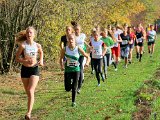 2018-11-04 Cross Diomedon